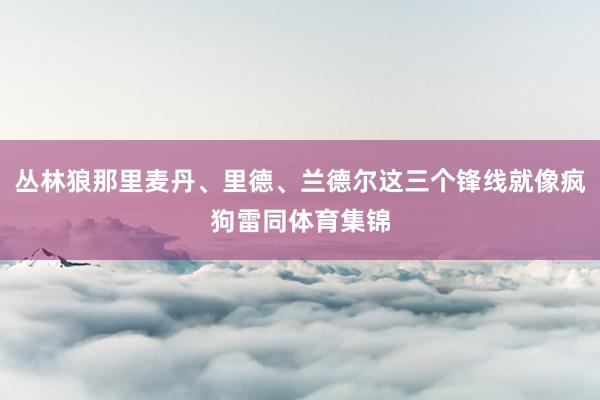 丛林狼那里麦丹、里德、兰德尔这三个锋线就像疯狗雷同体育集锦
