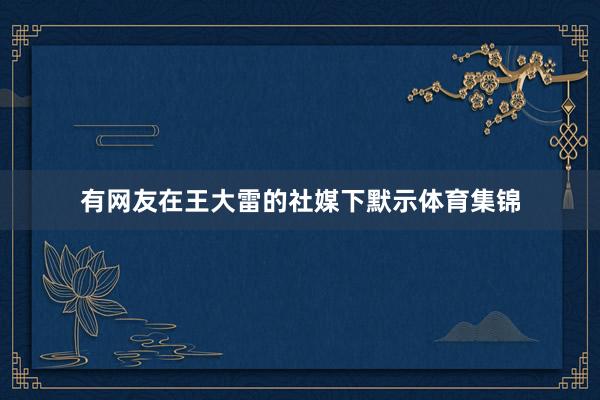 有网友在王大雷的社媒下默示体育集锦