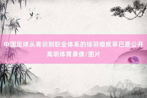 中国足球从青训到职业体系的铩羽痼疾早已是公开高明体育录像/图片