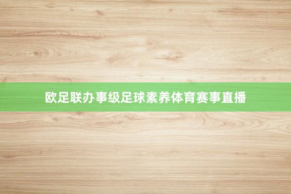 欧足联办事级足球素养体育赛事直播