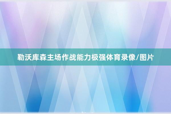 勒沃库森主场作战能力极强体育录像/图片