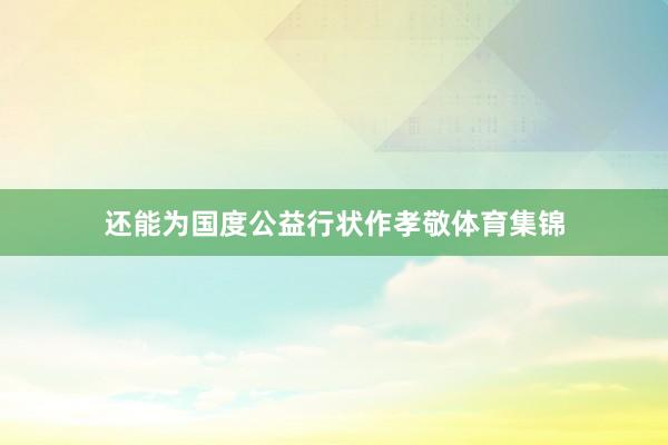 还能为国度公益行状作孝敬体育集锦