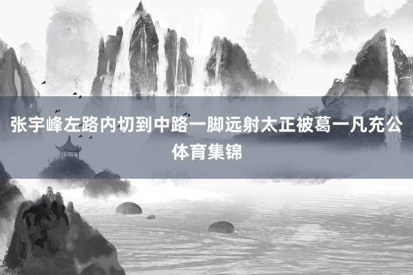 张宇峰左路内切到中路一脚远射太正被葛一凡充公体育集锦