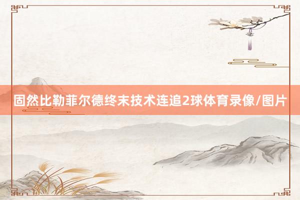 固然比勒菲尔德终末技术连追2球体育录像/图片