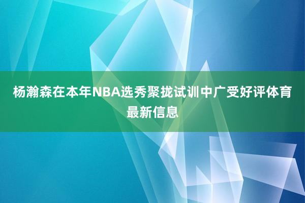 杨瀚森在本年NBA选秀聚拢试训中广受好评体育最新信息