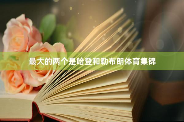最大的两个是哈登和勒布朗体育集锦