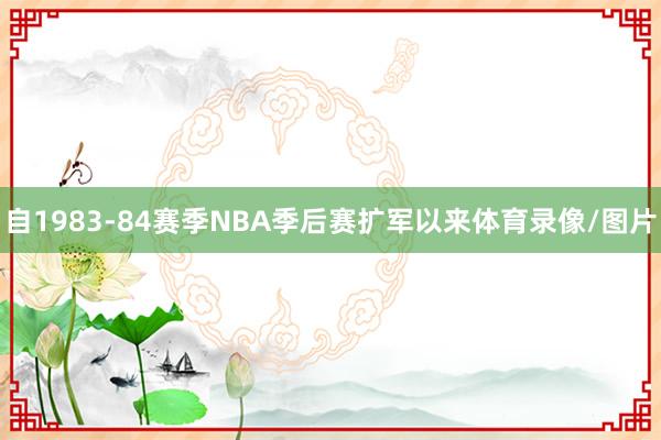 自1983-84赛季NBA季后赛扩军以来体育录像/图片