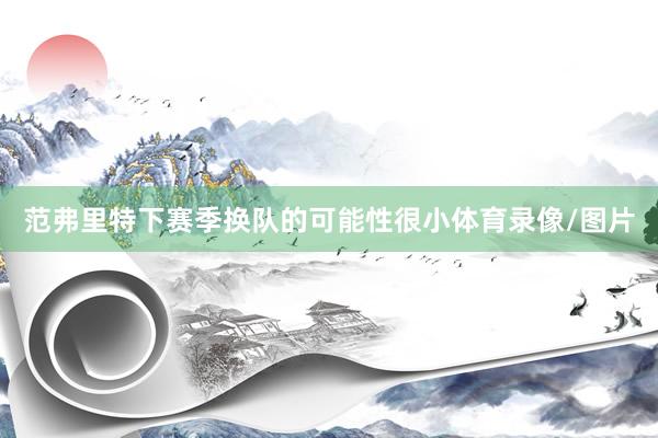 范弗里特下赛季换队的可能性很小体育录像/图片