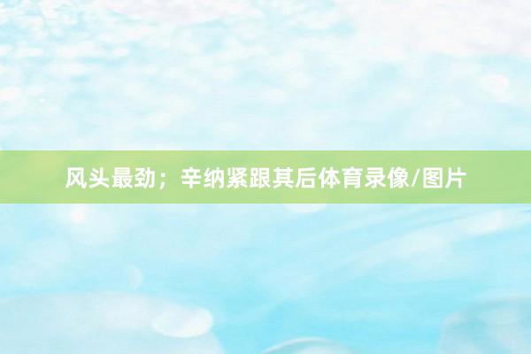 风头最劲；辛纳紧跟其后体育录像/图片