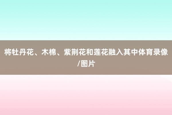 将牡丹花、木棉、紫荆花和莲花融入其中体育录像/图片