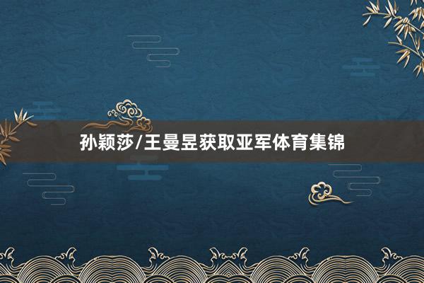 孙颖莎/王曼昱获取亚军体育集锦