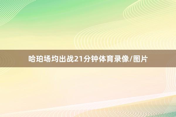 哈珀场均出战21分钟体育录像/图片