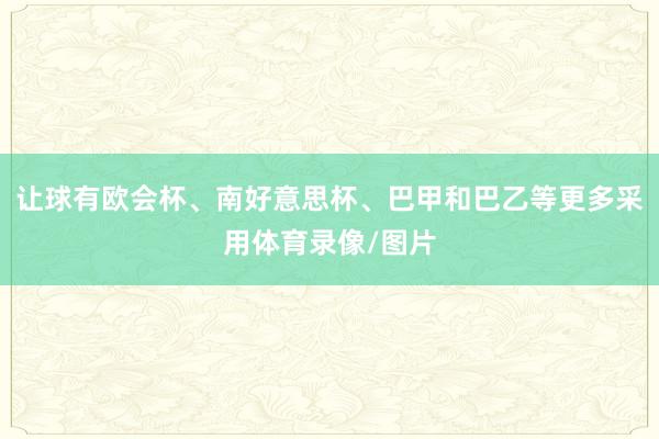 让球有欧会杯、南好意思杯、巴甲和巴乙等更多采用体育录像/图片