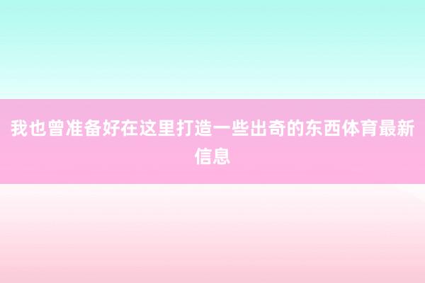 我也曾准备好在这里打造一些出奇的东西体育最新信息