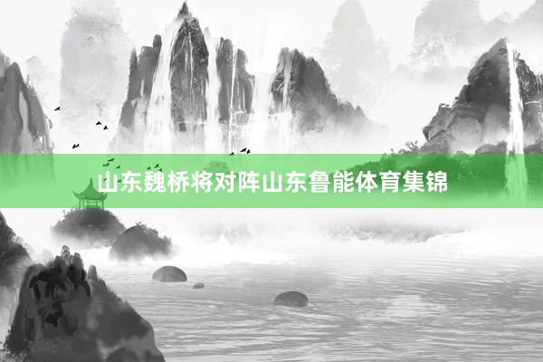山东魏桥将对阵山东鲁能体育集锦