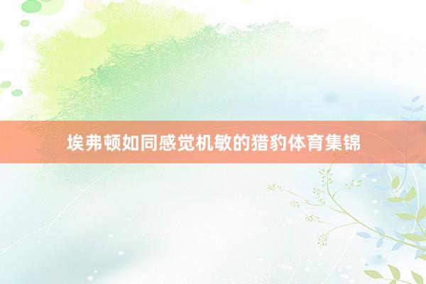 埃弗顿如同感觉机敏的猎豹体育集锦
