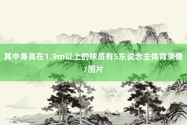 其中身高在1.9m以上的球员有5东说念主体育录像/图片