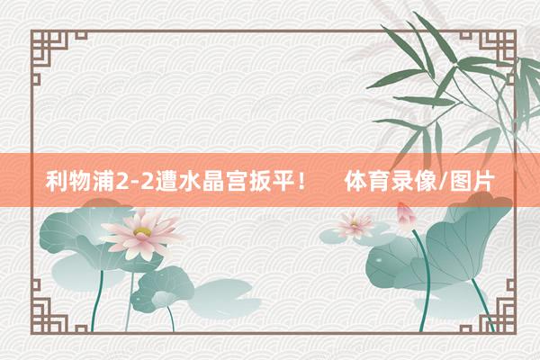 利物浦2-2遭水晶宫扳平！    体育录像/图片
