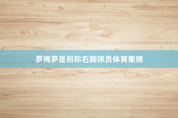 罗梅罗是别称右脚球员体育集锦