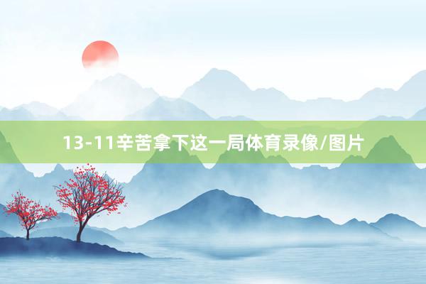 13-11辛苦拿下这一局体育录像/图片