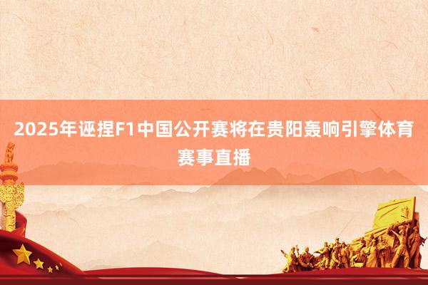 2025年诬捏F1中国公开赛将在贵阳轰响引擎体育赛事直播