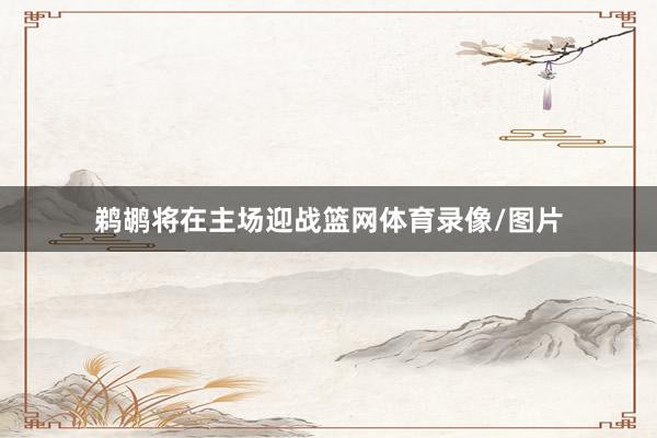 鹈鹕将在主场迎战篮网体育录像/图片