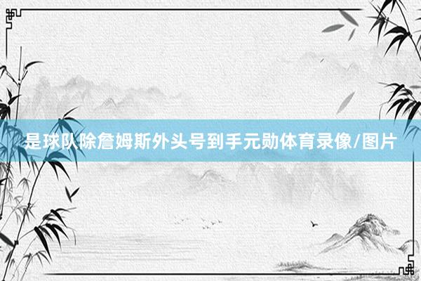 是球队除詹姆斯外头号到手元勋体育录像/图片
