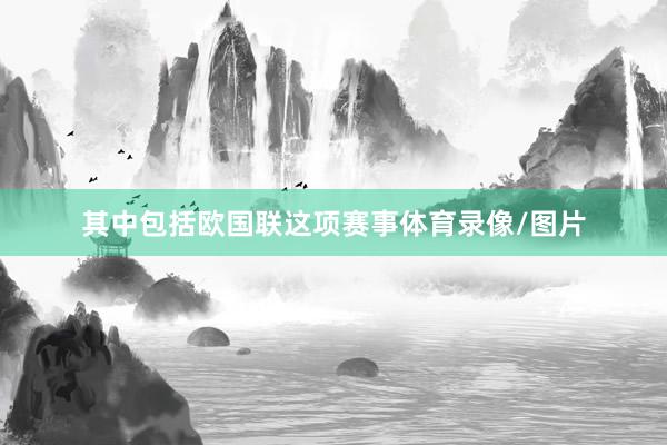 其中包括欧国联这项赛事体育录像/图片