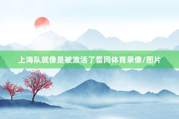 上海队就像是被激活了雷同体育录像/图片