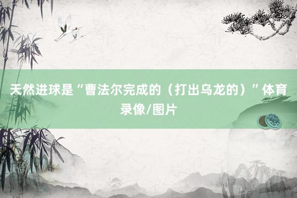 天然进球是“曹法尔完成的（打出乌龙的）”体育录像/图片