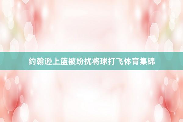 约翰逊上篮被纷扰将球打飞体育集锦
