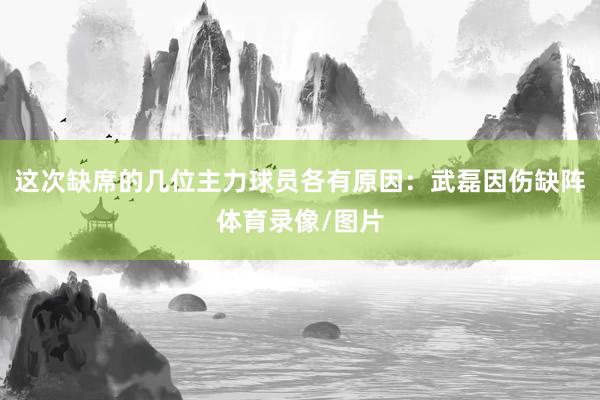 这次缺席的几位主力球员各有原因：武磊因伤缺阵体育录像/图片