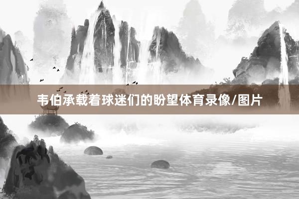 韦伯承载着球迷们的盼望体育录像/图片