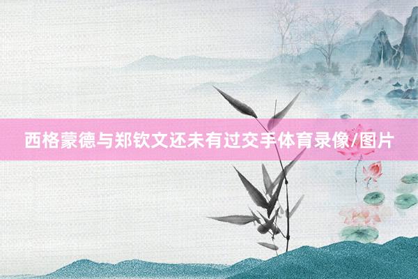 西格蒙德与郑钦文还未有过交手体育录像/图片