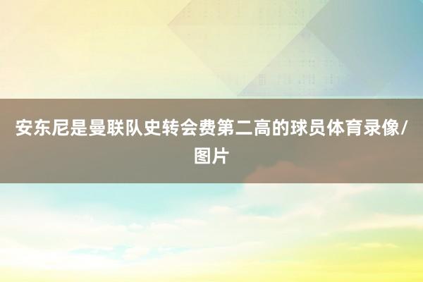安东尼是曼联队史转会费第二高的球员体育录像/图片