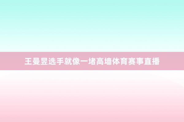 王曼昱选手就像一堵高墙体育赛事直播