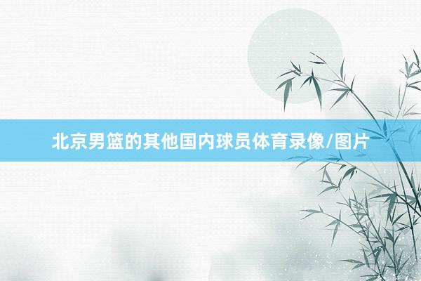 北京男篮的其他国内球员体育录像/图片
