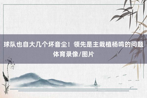 球队也自大几个坏音尘！领先是主栽植杨鸣的问题体育录像/图片