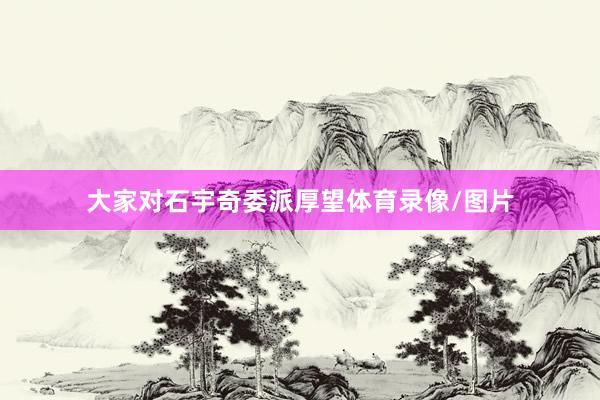 大家对石宇奇委派厚望体育录像/图片