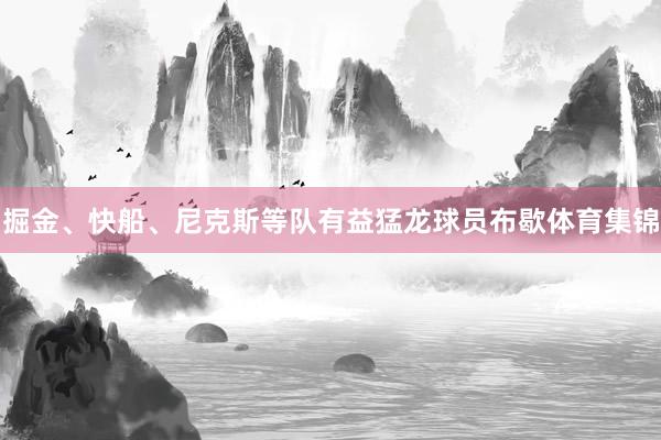 掘金、快船、尼克斯等队有益猛龙球员布歇体育集锦