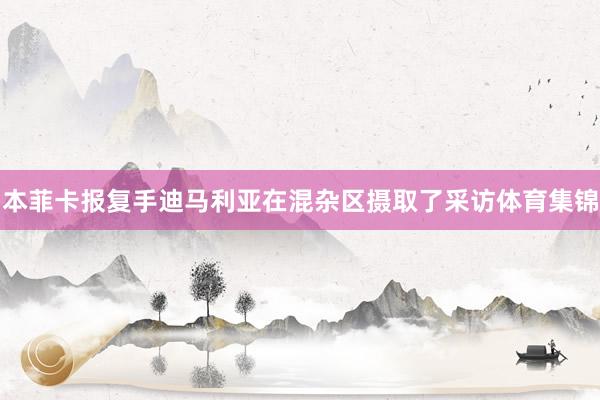本菲卡报复手迪马利亚在混杂区摄取了采访体育集锦